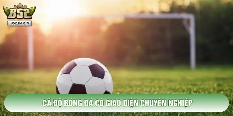 Cá độ bóng đá có giao diện chuyên nghiệp