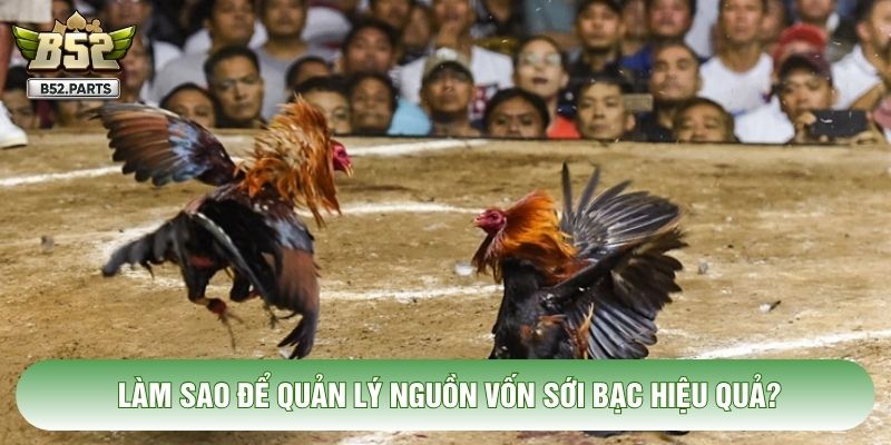 Làm sao để quản lý nguồn vốn sới bạc hiệu quả?