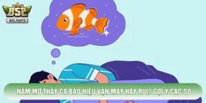 Nằm Mơ Thấy Cá Báo Hiệu Vận May Hay Rủi? Gợi Ý Các Con Số