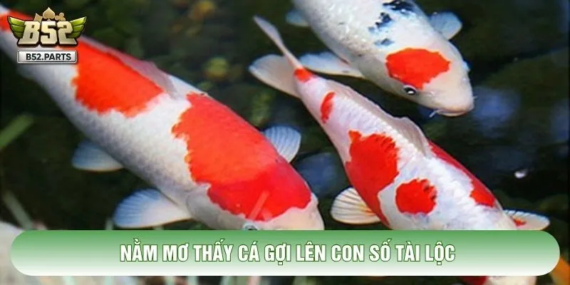 Nằm mơ thấy cá gợi lên con số tài lộc