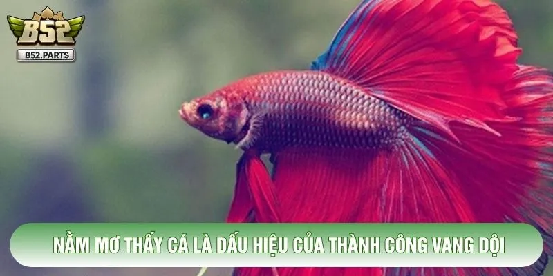 Nằm mơ thấy cá là dấu hiệu của thành công vang dội